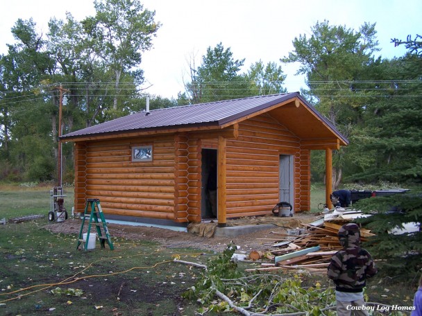 Tiny Log Cabin with Chinking