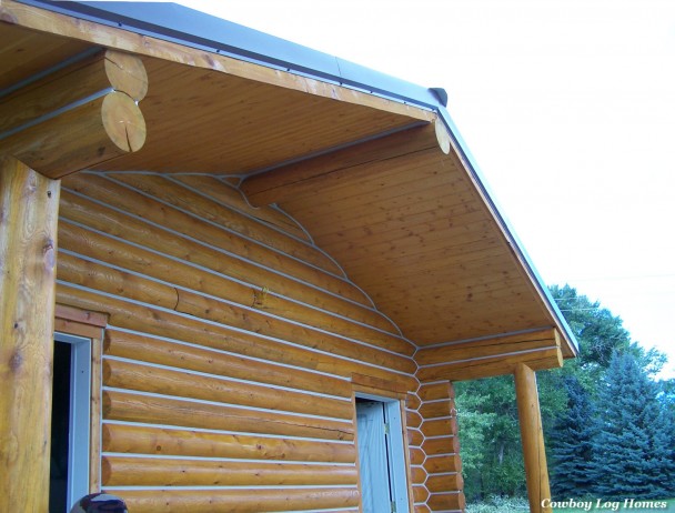 Log Cabin Building