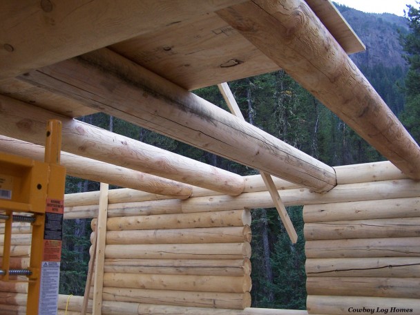 Log Floor Joists Mortised Into Log Wall