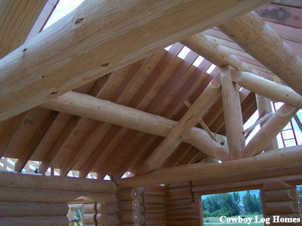 Handcrafted Log Home Shell Roof