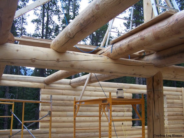 Log Floor Joists and Ridge Support Post