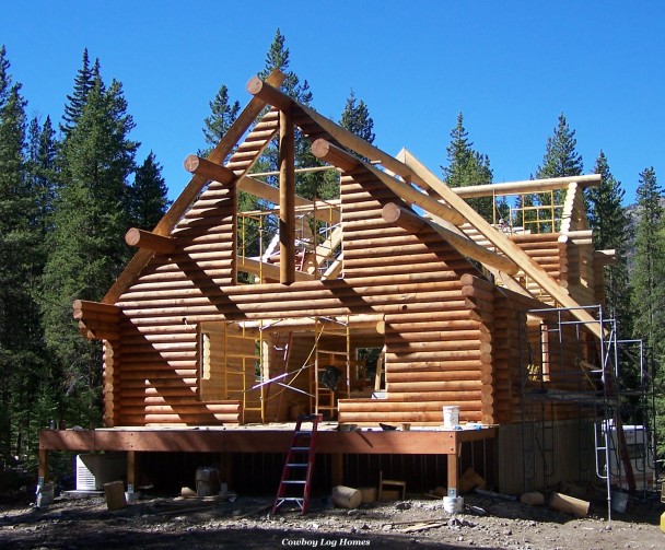 Log Home Shell with Log Ridge Beam and Log Purlins