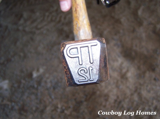 TPI Grade Stamping Hammer