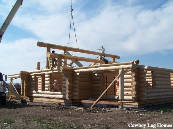 Log Shell Assembled - CLH